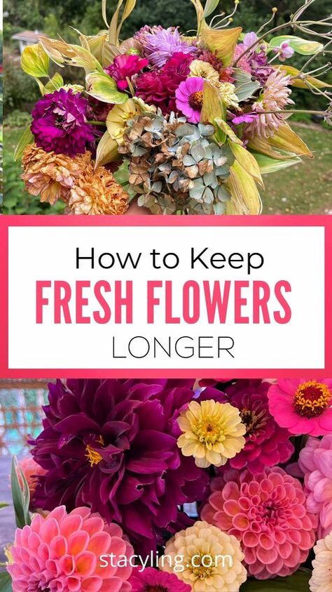 Make Flowers Last Longer, Cut Flower Food, Flowers Step By Step, Flowers Last Longer, Make Flowers, Growing Dahlias, Fresh Flower Bouquets, Floral Paper, Cut Flower Garden