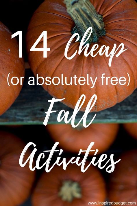 Free Fall Activities For Adults, Fall Senior Activities Ideas, Autumn Party Activities, Fun Fall Activities For Adults, Fall Senior Activities, Fun Halloween Activities For Adults, Fall Youth Activities, Fall Team Building Activities For Adults, Fall Youth Group Activities