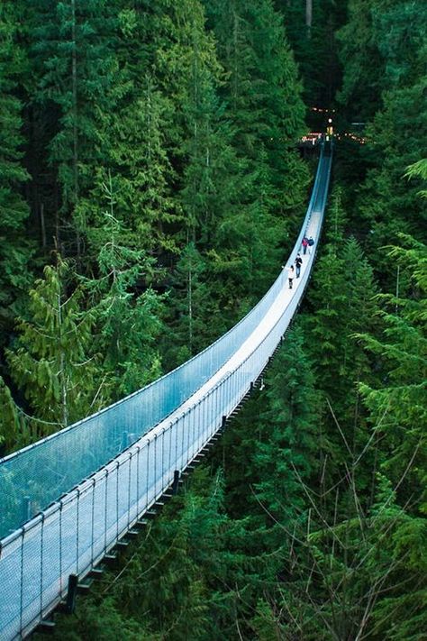 Capilano Suspension Bridge Park, Vancouver, British Columbia, Canada ✯ ωнιмѕу ѕαη∂у Capilano Suspension Bridge, Pacific Northwest Travel, Suspension Bridge, Skydiving, British Columbia Canada, Alam Yang Indah, Canada Travel, Best Vacations, Rock Climbing