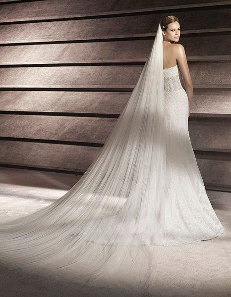 Pronovias Patricia Simple Wedding Veil, Net Veil, Bridal Accesories, Bridal Veils And Headpieces, Tulle Wedding Veil, Cathedral Wedding Veils, Veil Styles, Veil Accessories, Bride Veil