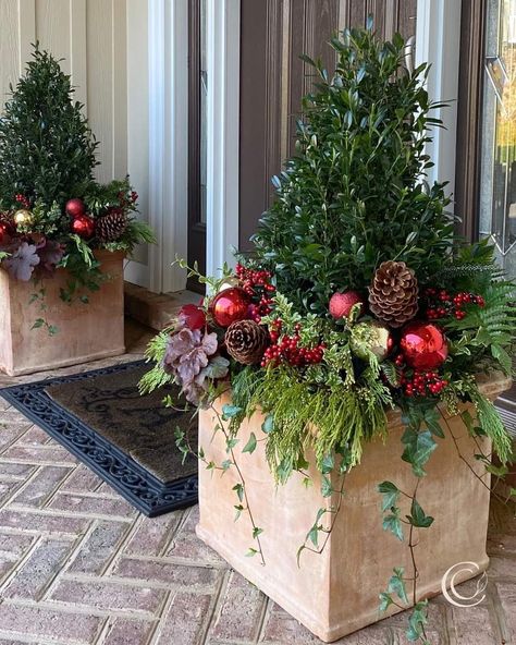 Christmas Outdoor Pots Planters, Outdoor Holiday Planters, Holiday Planters, Container Arrangements, Front Door Patio, Winter Container Gardening, Outdoor Christmas Planters, Christmas Urns, Holiday Planter