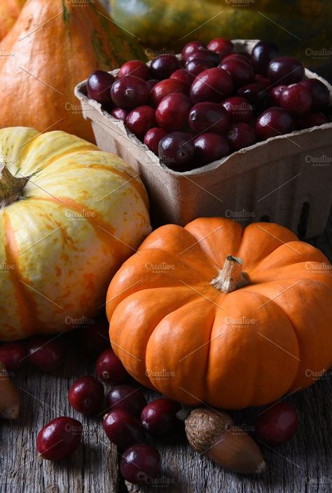 #Fall Still Life with Cranberries  Autumn Still Life: Vertical shot with decorative pumpkins gourds and basket of fresh cranberries. Pumpkin Still Life Photography, Fall Still Life Photography, Autumn Still Life Photography, Fall Still Life, Pumpkin Still Life, Autumn Still Life, Pumpkin Photography, Decorative Pumpkins, Autumn Food