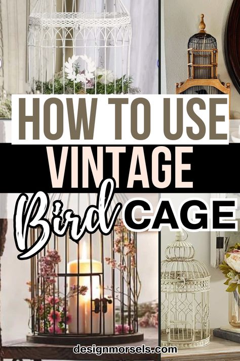 If you have a birdcage, here are 9 ideas for how to use this vintage treasure in your home decor, and where to find them. They aren't just for birds. How To Decorate Bird Cages, Decorative Cages Ideas, Metal Cage Decor, Wedding Bird Cage Decoration, Metal Bird Cage Decor Ideas, Decorate Bird Cage, Ideas For Bird Cages Decor, Bird Cage Halloween Decor, How To Style A Birdcage