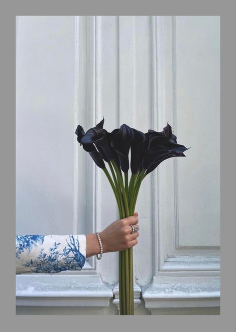 Black Calla Lily, The Flowers Of Evil, Ikebana Arrangements, Boquette Flowers, Nothing But Flowers, Flowers Bouquet Gift, Minimal Look, Lily White, Flower Therapy