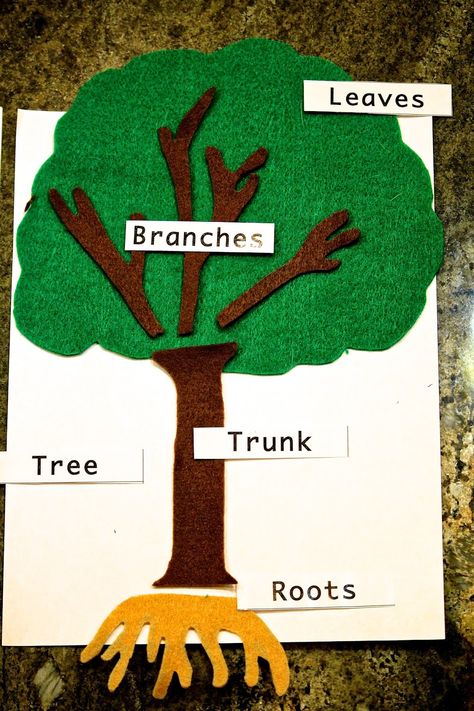 Love, Laughter and Learning with the Little Ones: DIY Montessori Felt Parts of a Tree Parts Of A Tree, Montessori Science, Diy Montessori, Montessori Lessons, Montessori Diy, Tree Study, Montessori Homeschool, Felt Stories, Montessori Preschool