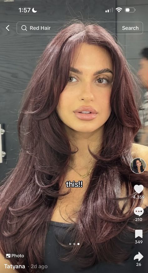 Truffle Raspberry Hair, Raspberry Chocolate Hair Color, Raspberry Truffle Hair Color, Long Burgundy Hair With Layers, Burgundy Hair With Curtain Bangs, Strawberry Chocolate Hair, Brown Girls Hair Color Ideas, Mohagony Hair Balayage, Charlotte Sexandthecity Hair