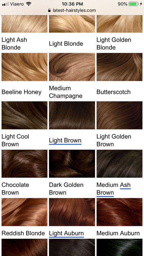 Brown Hair With Gold Undertones, Chocolate Brown Hair Men, Light Brown With Red Undertones, Chest Nut Brown Hair, Chocolate Chestnut Hair Color, Dark Bronze Hair, Pelo Marron Chocolate, Brown Hair Palette, Chestnut Hair Color Dark