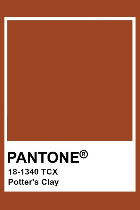 Pantone Potter's Clay Brown Pantone, Pantone Tcx, Classic Blue Pantone, Pantone Swatches, Pantone 2020, Pantone Palette, Pantone Colour Palettes, Cinnamon Color, Color Analysis