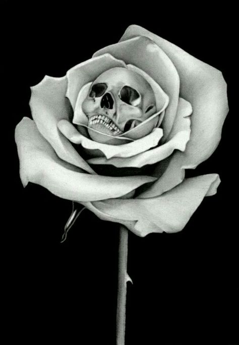 Rose with skull center Horror Vintage, Arte Indie, Art Beat, Rosen Tattoo, Skulls And Roses, A Skull, Skull Tattoos, Rose Tattoos, Skull And Bones