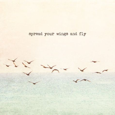 She Flies With Her Own Wings Quotes, Fly High Angel Quotes, Wings Quotes Fly, Flying Bird Quotes, Fly Like A Bird Quotes Inspiration, Fly High Quotes Heavens Angel, Wings Captions Instagram, Birds Quotes Flying, Wings Quotes Inspiration