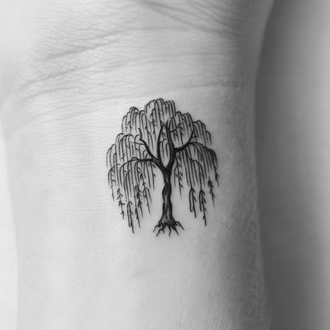 Mother Willow Tattoo, Tiny Willow Tree Tattoo, Morning Tattoo Ideas, Human Nature Tattoo, Willow Leaf Tattoo Small, Willow Tree Arm Tattoo, Tattoos To Symbolize Growth, Wheeling Willow Tree Tattoo, Willow Tree Tattoo Designs