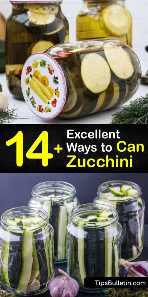 Pressure Canning Zucchini Recipes, Can Zucchini Be Canned, How To Pickle Vegetables Canning Recipes, Pressure Canning Zucchini, How To Process Zucchini, Pickled Zucchini Canning, Can You Can Zucchini, Canning Recipes Zucchini, Vegan Pressure Canning Recipes