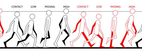 Walk Cycle Reference, Animation Walk Cycle, Jump Animation, Walking Animation, Walk Cycle, Learn Animation, Richard Williams, Flash Animation, Animation Storyboard