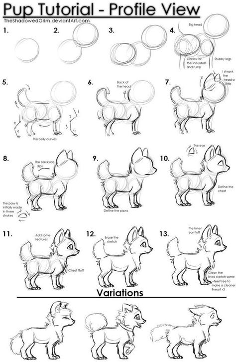 Pup tutorial by TheShadowedGrim on DeviantArt: Drawing Anatomy, Drawing Eyes, Drawing Animals, Animal Doodles, 강아지 그림, Seni Cat Air, Homeschool Art, 인물 드로잉, Sketch Ideas