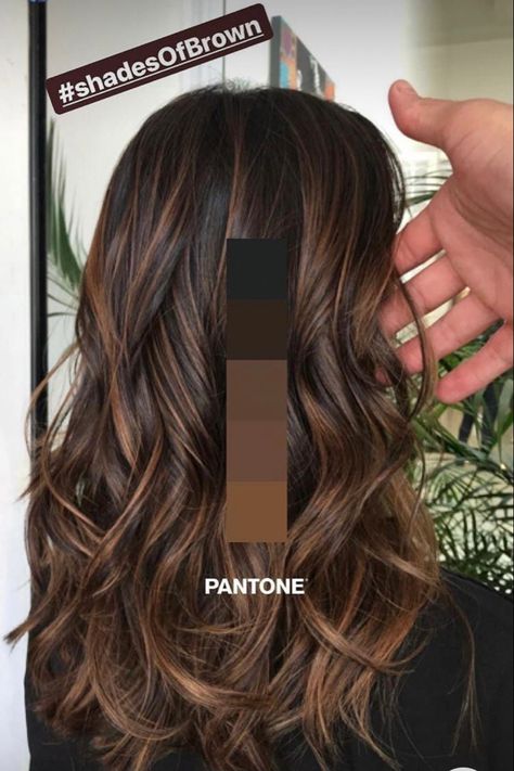 Hairstyle And Color, Rambut Brunette, Black Hair Balayage, Brown Hair Looks, Brown Hair Inspo, Brunette Hair With Highlights, Dark Hair With Highlights, Vlasové Trendy, Brunette Balayage Hair