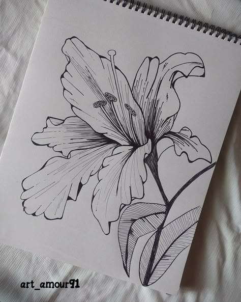 Sketchbook Flowers Drawings, Flower Drawing Collage, Flower Drawings Pencil, Flower Pencil Sketches, Aesthetic Flower Sketch, Art Sketches Pen, Flower Pen Drawing, Sketches Flowers, Pen Art Work