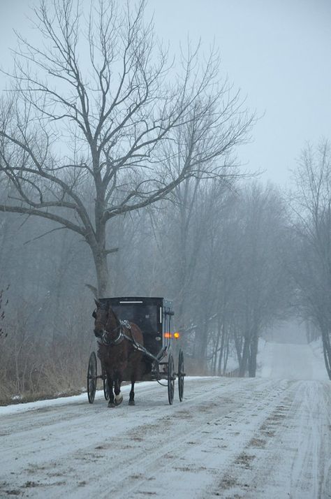 Amish Country Aesthetic, Amish Living, Horse Drawn Carriage, Media Photography, Book Board, I Love Winter, Ciel Phantomhive, Lancaster County, Winter Magic