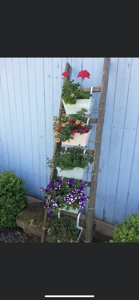 Garden Ladder Ideas, Bamboo Garden Fences, Garden Ladder, Old Ladder, Succulent Garden Design, Garden Decor Diy, Garden Decor Ideas, Have Inspiration, Creative Gardening