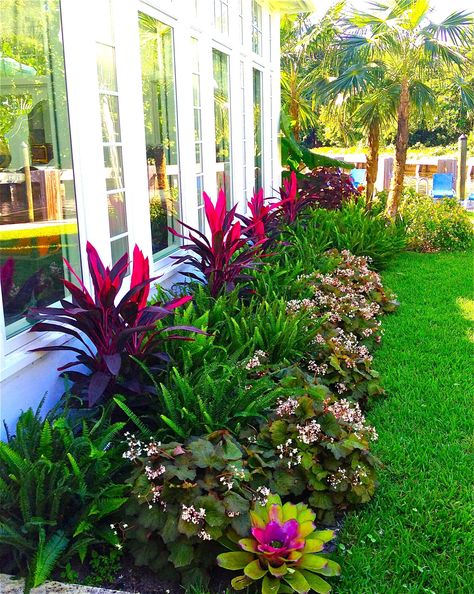 Steal these cheap and easy landscaping ideas​ for a beautiful backyard and front yard. #landscaping #backyard #frontyard Cheap Landscaping Ideas, Florida Landscaping, Tanaman Pot, Tropical Garden Design, Tropical Backyard, Desain Lanskap, Easy Landscaping, Front Landscaping, Landscape Designs