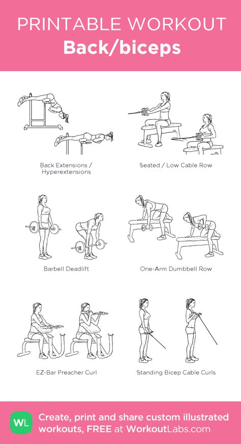 Back/biceps Women Back Workout, Workout For Back, Bicep Workout Gym, Back And Bicep Workout, Chest Workout Women, Workout Labs, Fitness Studio Training, Bicep Workout, Printable Workout