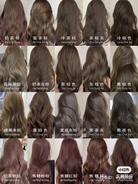 Hair Inspo Natural Color, Subtle Hair Colors For Dark Hair, Ash Brown Vs Chocolate Brown, Asian Hair Color Ash Brown, Asian Light Hair Color, Brown Hair Shades For Fair Skin, Brown Hair Blue Undertone, Hair Dye Colors For Asians, Hair Shades Of Brown