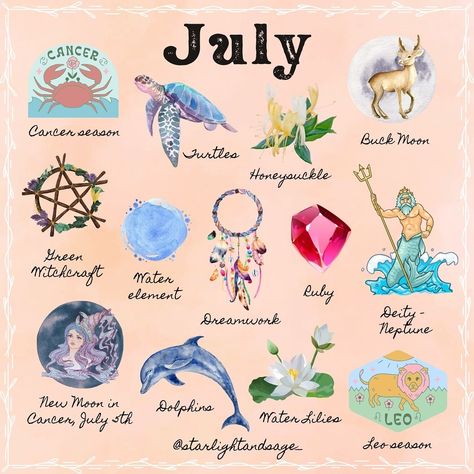 Alice Kendall | JULY CORRESPONDENCES ✨🌺 It’s July already! What do you love most about July and do you have a birthday coming up? Content and graphic… | Instagram July Magic, Graphic Instagram, Summer Witch, July Events, Green Witchcraft, Moon Journal, Zodiac Birthdays, Witch Spell Book, Happy July