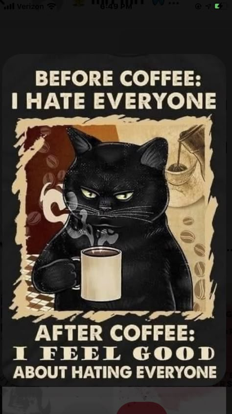 Cat Humor Funny, Black Cat Humor, Gatos Cool, Cat Jokes, Grumpy Cat Humor, Poster High Quality, Cat Quotes Funny, Image Chat, Cat Humor