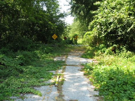 Abandoned Road Aesthetic, Overgrown Apocalypse, Reference Scenery, Abandoned Road, Road Drawing, Truss Bridge, Abandoned Town, Dangerous Roads, Road Bridge