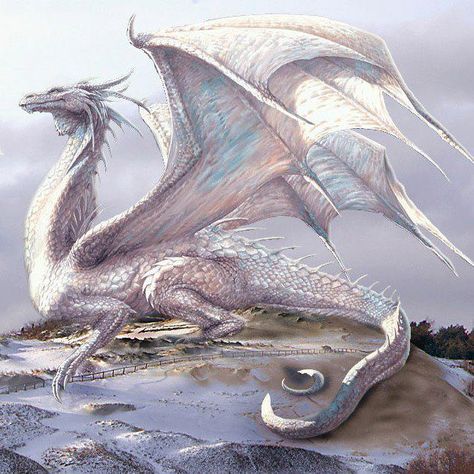 Fantasy Dragon Art, Snow Dragon, Hidden Dragon, Dragon Artwork Fantasy, Dnd Dragons, Beautiful Dragon, Snow Ice, Dragon Pictures, White Dragon