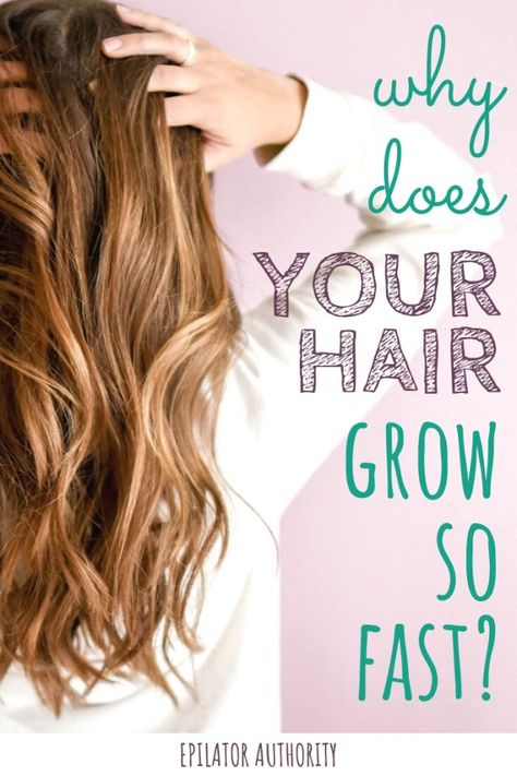 Speed Hair Growth, Hair Wont Grow, Hair Growth Rate, Slow Hair Growth, Scalp Hair Growth, Fast Hair Growth, Make Hair Grow, Breaking Hair, How To Grow Your Hair Faster