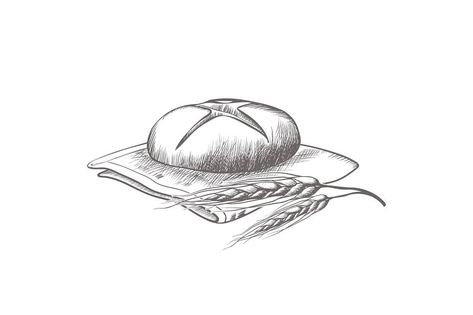 Hand drawing sketch of round loaf of bread lying on cloth along with wheat ears isolated vector illustration on white background Bread Sketch, Bread Drawing, Sketch Creative, Round Bread, Cute Owls Wallpaper, Ariana Grande Songs, Owl Wallpaper, Hand Drawing, Shape And Form