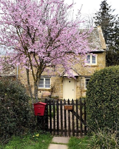 (1) Heidi’s Cottage on Tumblr Village Cottagecore, Cotswold Cottage, Best Home Design, English Village, Blossom Tree, Stylish Home, Home Ideas, Best Home, Home Design