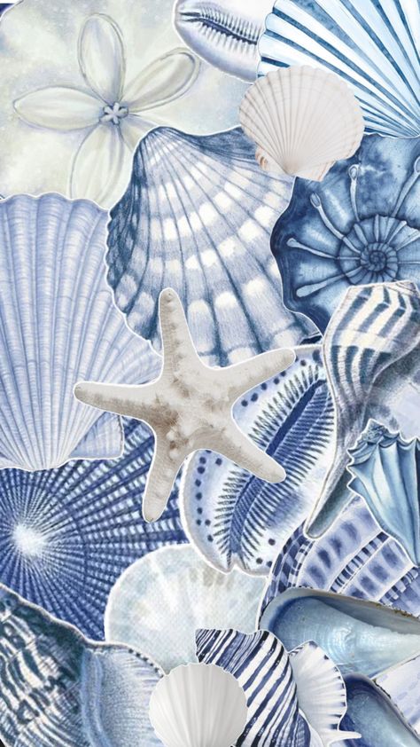 #coastal #coastalgranddaughter #seashell #shell #blue Costal Pictures, Coastal Stickers, Shell Collage, Beachy Wallpaper, Blue Coquette, H2o Mermaids, Love Collage, Cute Summer Wallpapers, Wallpaper Iphone Summer