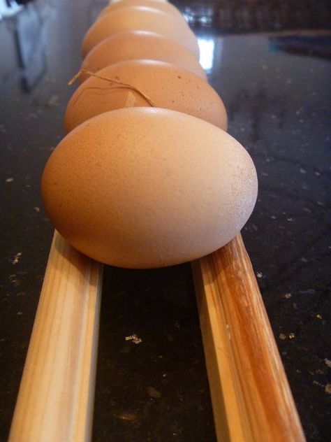 Egg Skelter, Egg Rack, Egg Storage, Painted Sticks, Egg Holder, Fresh Eggs, Chicken Coop, Storage Rack, The Kitchen