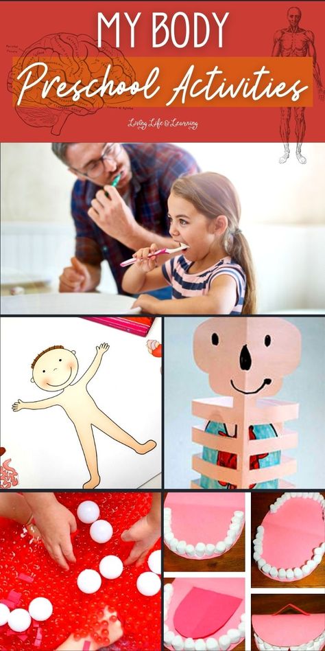 When it comes to teaching preschoolers about their body parts, it's important to use simple, age-appropriate language and engaging activities like these My Body Preschool Activities. These homeschool human body activities will help your kids develop a strong sense of self-awareness and self-care. Body For Preschool Activities, Body Systems Preschool, Human Body Craft Preschool, Self Care Preschool Activities, Preschool Body Activities, Preschool Human Body Activities, Toddler Body Parts Activities, Preschool Body Parts Activities, Healthy Body Preschool Activities