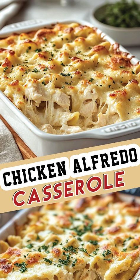 Chicken Alfredo Casserole Ingredients: 3 cups cooked chicken, shredded 12 oz pasta (penne or rotini works well) 2 cups Alfredo sauce (store-bought or homemade) 1 1/2 cups mozzarella cheese, shredded 1/2 cup Parmesan cheese, grated 1/2 cup heavy cream 2 tablespoons unsalted butter 1/2 teaspoon garlic powder 1/2 teaspoon onion powder Salt and pepper to taste 1 tablespoon chopped fresh parsley (optional, for garnish) #Chicken #Alfredo #Quickrecipe Chicken Breast Alfredo Recipes, Chicken Alfredo Penne Pasta, Chicken Penne Alfredo, Jar Alfredo Sauce, Chicken Pieces Recipes, Chicken Pasta Sauce, Chicken Breast Casserole Recipes, Boneless Skinless Chicken Breast Recipes, Chicken Breast Casserole