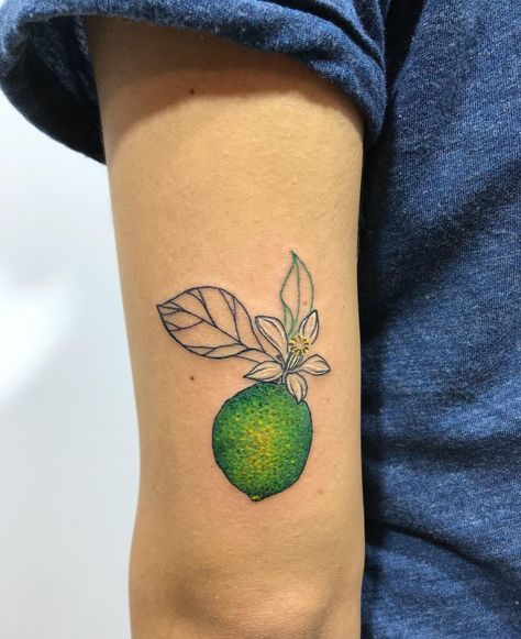 Lime Tattoo, Anna Tattoo, Green Tattoos, Tattoos Inspo, Kawaii Tattoo, Lime Tree, R Tattoo, Tat Ideas, Tree Tattoo