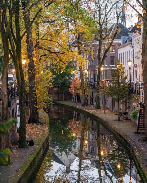 Utrecht Netherlands, Walk Outside, Amsterdam Holland, Netherlands Travel, Europe Tours, Autumn Scenery, Landscape Scenery, London Life, City Aesthetic