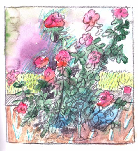 Bush Drawing, Ink And Watercolour, Rose Bush, Anime Hair, Black Pencil, Watercolor Rose, Watercolor Painting, Garden Design, Watercolor Paintings