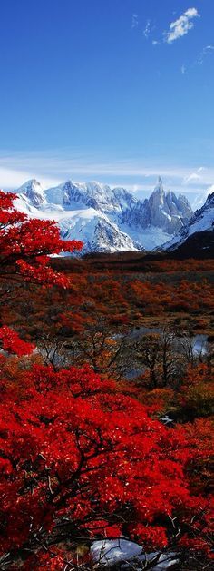 El Chalten, Los Glaciares National Park, Patagonia, Argentina Matka Natura, Patagonia Argentina, Trip Planner, Alam Yang Indah, Alberta Canada, Places Around The World, Amazing Nature, Belle Photo, Nature Beauty