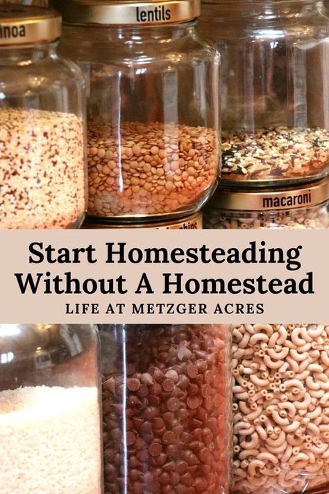 Start Homesteading Without a Homestead - Life at Metzger Acres Backyard Pool Decor, Happy Homemaking, Homestead Kitchen, Home Canning Recipes, Homestead Life, Learning New Skills, Homemade Pantry, Canning Food Preservation, Canned Food Storage