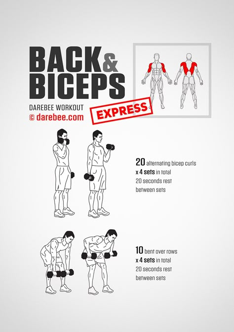 Back &amp; Biceps Express Workout Excersise With Dumble, Darbee Workout, Back And Biceps Workout, Darebee Workout, Dumbbell Workout Plan, Dumbbell Back Workout, Back And Bicep Workout, Arm Workouts At Home, Bicep Workout