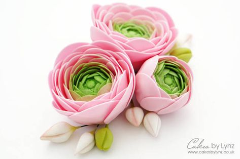 Hi and welcome back to my kitchen. In this weeks video tutorial I am going to show you step by step how to make a gumpaste / sugar ranunculus flower to add to your cakes. ➡️ I have added a list of all the equipment that I used in this video on my... Cake Flowers Tutorial, Sugar Paste Flowers, Ranunculus Flower, Sugar Flowers Tutorial, Fondant Flower Tutorial, Fondant Flower Cake, Petal Dust, Fondant Rose, Ranunculus Flowers