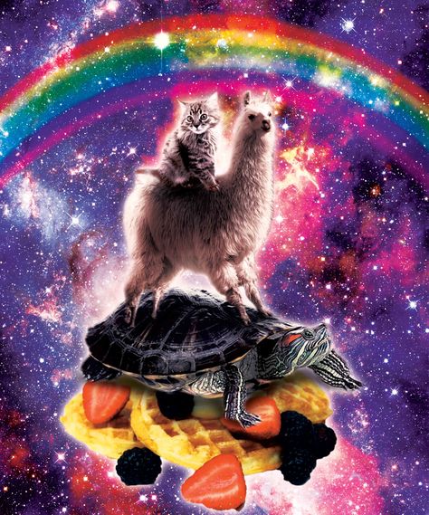 Giant Turtle, Trippy Cat, Galaxy Cat, Unicorn Cat, Rainbow Cat, Funny Posters, Space Cat, Cat Posters, Cat Wallpaper