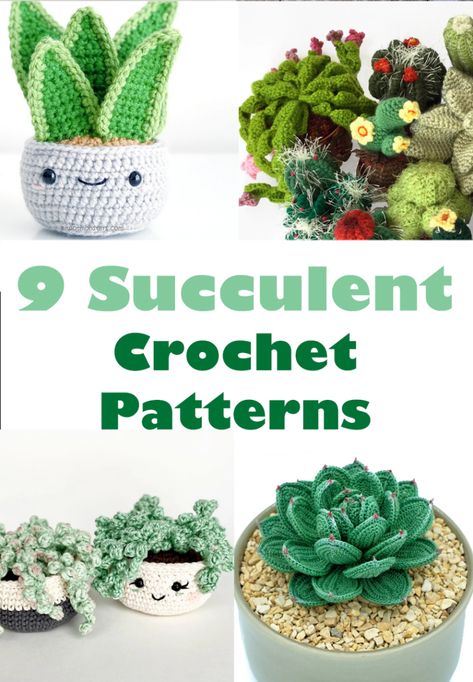 Crochet Cactus Free Pattern, Crochet Succulent, Crochet Garden, Crochet Cactus, Crochet Plant, Aesthetic Crochet, Beginner Crochet Projects, Clothes Aesthetic, Crochet Animal Patterns