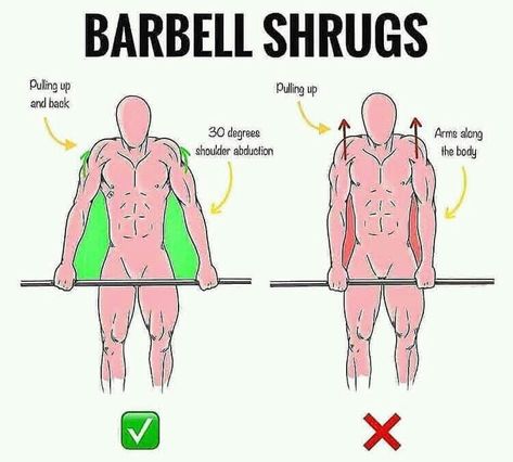 Big Traps Workout, Shoulder Shrugs Workout, Shrugs Workout, Barbell Shrugs, Trapezius Workout, Trap Workout, Workout Names, Traps Workout, Best Shoulder Workout