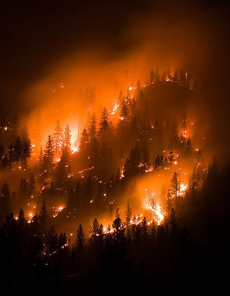 montana wildfire, forest fire | Flickr - Photo Sharing! Johanna Basford Enchanted Forest, Breathing Fire, Fire Photography, Wild Fire, Orange Aesthetic, Sendai, Forest Fire, Life Is Strange, Fire And Ice