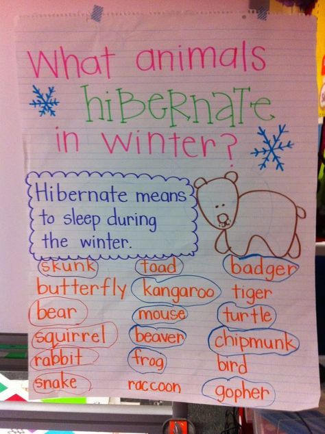 What Animals Hibernate in Winter anchor chart Hibernation Preschool Theme, Hibernation Preschool Crafts, Hibernation Preschool Activities, Hibernation Crafts, Winter Animals Preschool, Hibernation Preschool, Hibernation Activities, Animals In Winter, Winter Lesson Plan