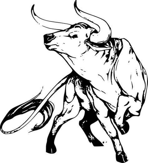 Bull Pencil Drawing, Bull And Matador Tattoo, Bull Drawing Taurus, Bullhead Tattoo, Spanish Bull Tattoo, Bull Head Drawing, Ox Drawing, Bull Art Drawing, Bull Sketch