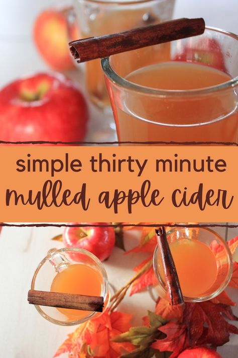 Stove Top Apple Cider, Hot Mulled Cider Recipe, Hot Cider Recipes, Hot Mulled Cider, Apple Cider Uses, Hot Apple Cider Recipe, Mulled Cider Recipe, Mulled Apple Cider, Apple Cider Recipe